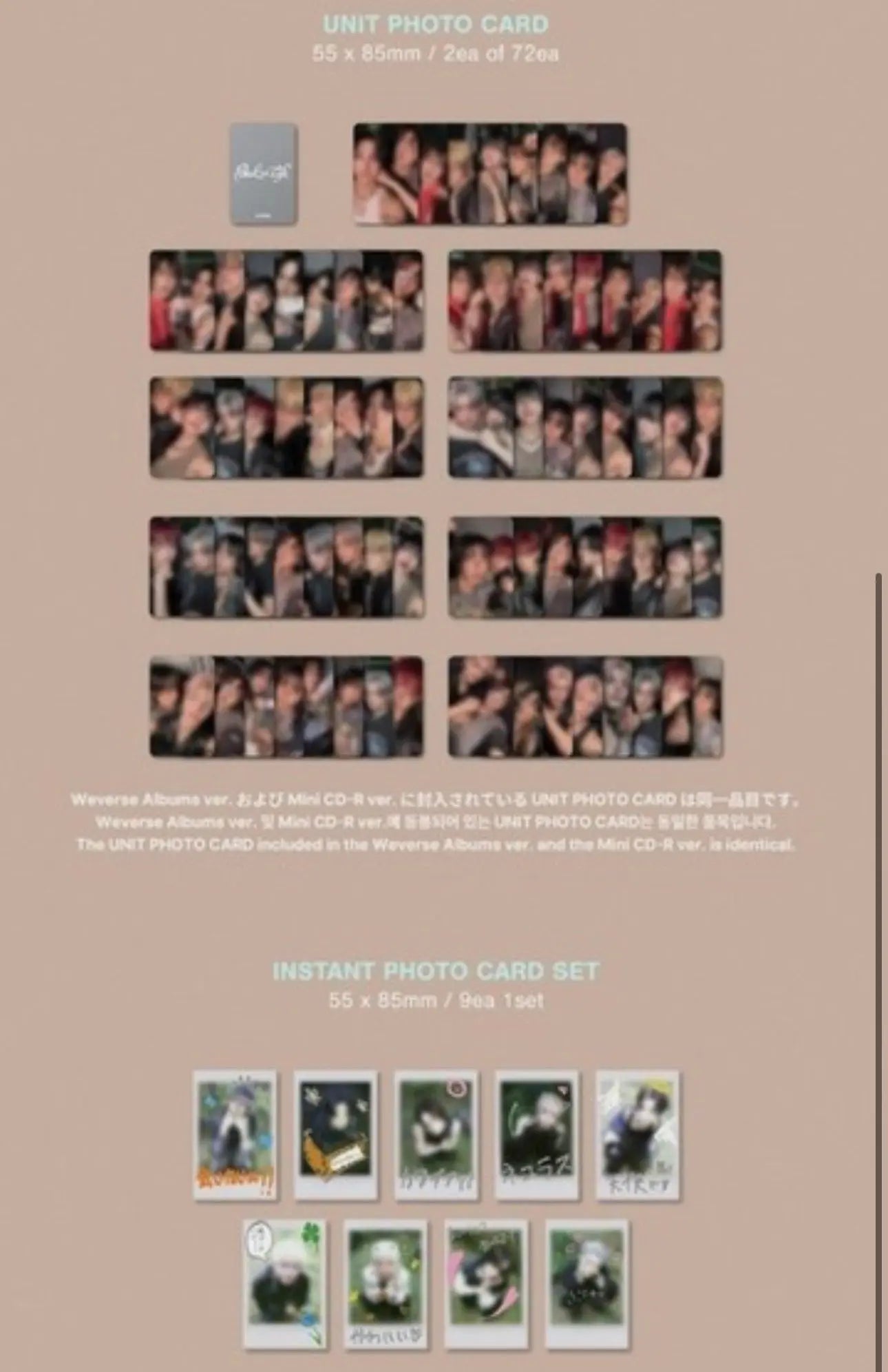 &TEAM - [KR Back to Life] 1st Mini Album (CD-R ver.) - Yoolxv.store